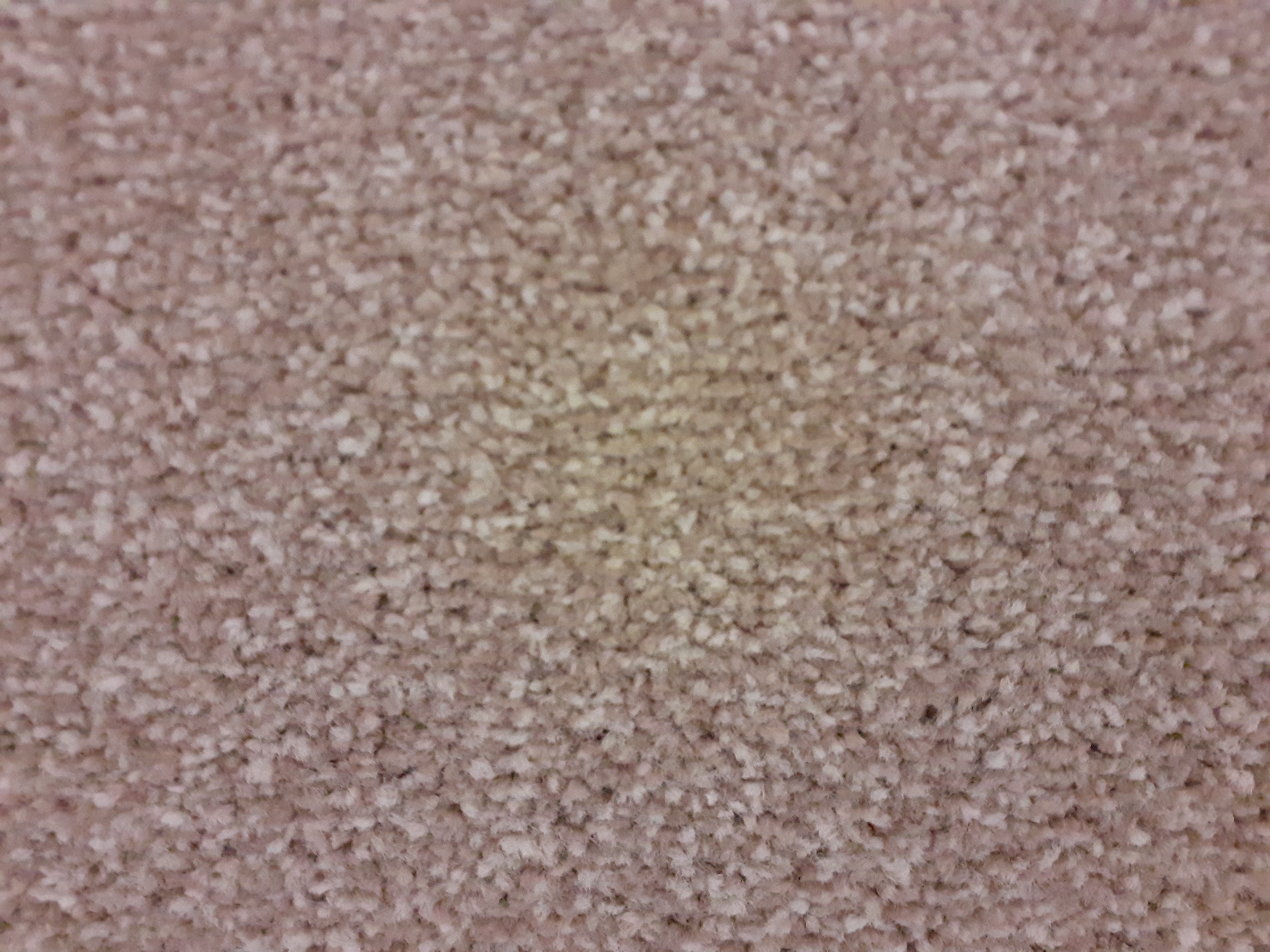 >CAITHNESS TWIST STEPPING STONE